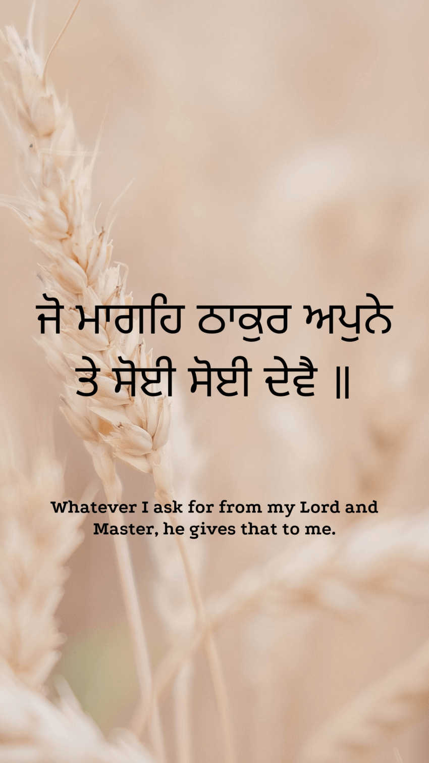 Fields of Blessings: Divine Abundance in Every Grain Wall Art Theme