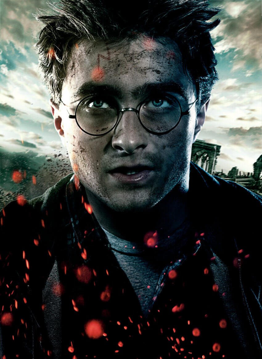 Harry Potter's Passion Wall Canvas